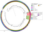Core-genome phylogenomic tree of New Delhi metallo-β-lactamase (NDM) 14–producing Klebsiella pneumoniae ST147 isolates from a Canary Islands outbreak and related isolates from study of emergence of NDM-14–producing K. pneumoniae ST147 clone in Spain and outbreak in the Canary Islands. The tree includes the closest 863 genomes of K. pneumoniae isolates belonging to the ST147 clone, found in PasteurMLST (https://bigsdb.pasteur.fr/klebsiella), the National Center for Biotechnology Information Genome Database (https://www.ncbi.nlm.nih.gov/genome), and Pathogenwatch (https://pathogen.watch). Red shading indicates the Canary Island outbreak isolates; other countries and STs of interest are also highlighted. The most prevalent carbapenemases appearing in the dataset of the most similar isolates are noted. K. pneumoniae isolate TGH13 (GenBank accession no. CP012745.1) was used as the reference strain. Scale bar indicates nucleotide substitutions per site. cgST, core-genome ST; ST, sequence type.