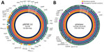 Comparison of 2 of the most relevant plasmids in isolates from study of emergence of New Delhi metallo-β-lactamase (NDM) 14–producing Klebsiella pneumoniae ST147 clone in Spain and outbreak in the Canary Islands. The blaNDM-14–containing plasmid pNDM-14 (A) and its probable helper for conjugation and intraspecies transmission pHelper (B) are shown, comparing multiple K. pneumoniae ST147 strains from different countries (Spain, I238; France, 296B5 and 320G1; United Kingdom, KP88; the Netherlands, C055099) and a phylogenomically distant K. pneumoniae ST997 carrying the same plasmids (I542, Spain). The outer ring shows loci, including resistance genes and conjugative transfer proteins. Because of the large size of pHelper, only those 2 types of features are shown. The other rings represent the presence or absence of parts of the plasmid relative to the I238 reference plasmid. ESP, Spain; FRA, France; GBR, United Kingdom; Inc, incompatibility group; NLD, the Netherlands; ST, sequence type.