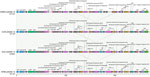 Detailed comparison of circularized blaNDM-14 plasmids from study of emergence of New Delhi metallo-β-lactamase (NDM) 14–producing Klebsiella pneumoniae ST147 clone in Spain and outbreak in the Canary Islands. Plasmids are from multiple countries (Spain, I238 and I542; France, 296B5; United Kingdom, KP88) and 2 different STs. Gray lines indicate synteny at the nucleotide level. Gray shading indicates loci without gene names or named hypothetical proteins; other colors are randomized on the basis of gene order. bleMBL, bleomycin resistance gene; CTX, cholera toxin; IS, insertion sequence; ORF, open reading frame; OXA, oxacillin; pNDM-14, NDM-14–producing plasmid; ST, sequence type.