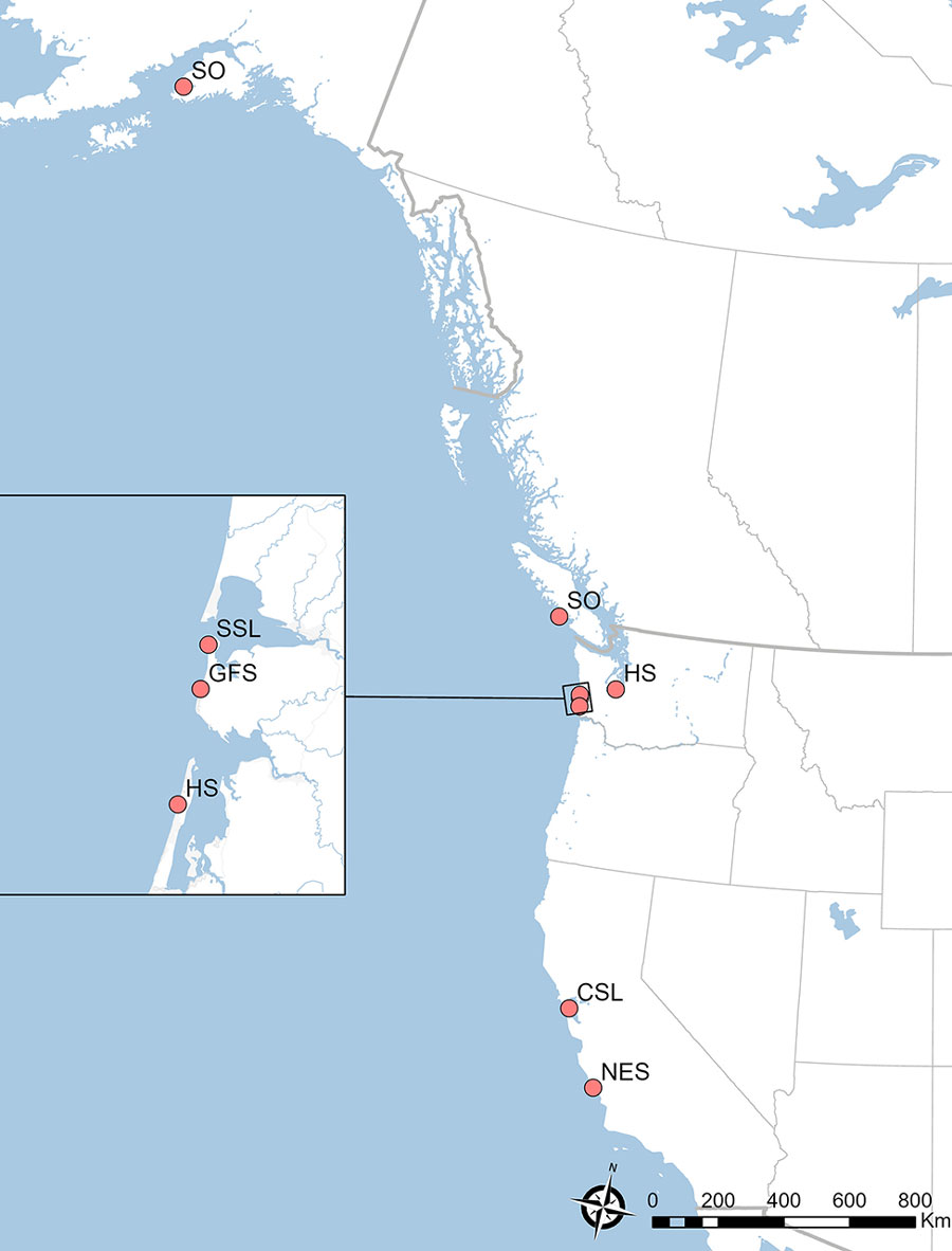Stranding locations and animal species in study of Neospora caninum infection in marine mammals stranding in the northeastern Pacific Ocean region. NES, northern elephant seal (Mirounga angustirostris); CSL, California sea lion (Zalophus californianus); HS, harbor seal (Phoca vitulina); GFS, Guadalupe fur seal (Arctocephalus townsendi); SSL, Steller sea lion (Eumetopias jubatus); SO, sea otter (Enhydra lutris).