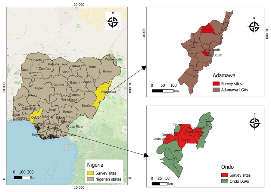 Sites of mpox animal surveillance activities for investigation of Orthopoxvirus antibodies in feral mammals in mpox outbreak areas, Adamawa and Ondo states, Nigeria, 2021–2022. LGA, Local Government Area.