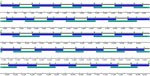 Positions of primers used for NiVliSeq amplification panel in study of Nipah virus shedding in urine from fruit bats, Sri Lanka, 2018–2019. Blue and green represent 2 nonoverlapping primer pools to which the primers were added.