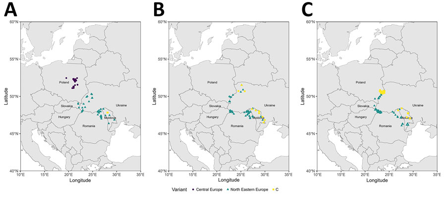 Spatial evolution of the different virus variants identified in a study of rabies reemergence, Central Europe, 2022–2024. A) 2022; B) 2023; C) 2024. For Ukraine and Moldova, only a few cases detected on their western borders have been sequenced; not all positive cases are noted.