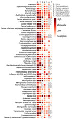 Heat map of qualitative estimates for all 53 hazards (arranged alphabetically) potentially associated with canine importation into Canada as determined through a qualitative risk assessment with expert consultation, 2023–2024. Estimates from left to right are likelihood of entry, likelihood of canine exposure, likelihood of human exposure, magnitude of impact of exposure for an individual canine, magnitude of impact of exposure for the canine population, magnitude of impact of exposure for an individual human, and magnitude of impact of exposure for the human population. For nonzoonotic hazards, estimates were not provided for human categories and are indicated by blank squares outlined in black. Hazards marked with an asterisk are groupings of agents. Full descriptions of those groups are available in Appendix 2 Table 1.