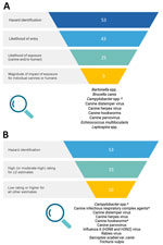 Approaches used to prioritize hazards in qualitative risk assessment of infectious agents associated with canine importation into Canada, 2023–2024. A) For the first approach, of the 53 hazards potentially associated with canine importation into Canada, 43 were ranked moderate or high likelihood of entry, 25 were ranked moderate or high likelihood of canine and/or human exposure, and 9 had a ranking of moderate or high for >1 of the 4 magnitudes of impact of exposure estimates. B) For the second approach, of the 53 hazards potentially associated with canine importation into Canada, 33 received a ranking of high (or moderate-high) for >2 estimates, and 10 had a minimum ranking of low or higher for all other estimates. Zoonotic hazards were only required to have a minimum ranking of low or higher for estimates related to 1 population (canids or humans).