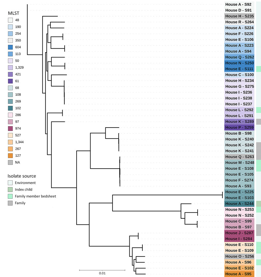 Phylogenetic tree based on core gene alignment for isolated Enterobacter hormaechei species (n = 47) in study of the role of households with children in community spread of multidrug-resistant Enterobacteriaceae, St. Louis, Missouri, USA. Scale bar represents nucleotide substitutions per site. MLST, multilocus sequence type; NA, not available.