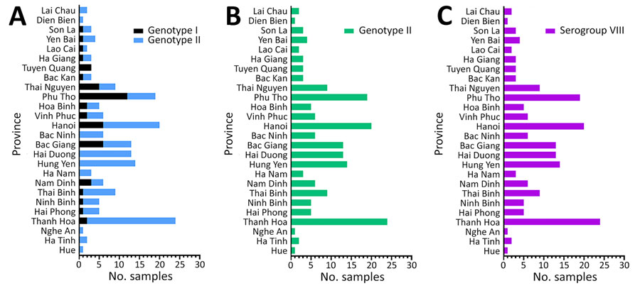 Prevalence and distribution of African swine fever virus genotypes I and II among strains detected, by province, Vietnam, January 2023–August 2024. Genotypes were based on the p72 gene (A) and p54 gene (B) and serogroup classification was based on the CD2v gene (C).