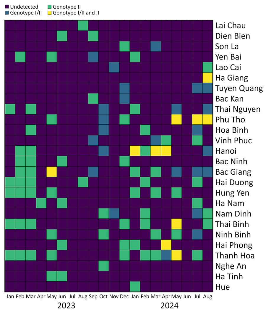 Spatial and temporal distribution of African swine fever virus genotype II and recombinant African swine fever virus strains detected, by province, Vietnam, January 2023–August 2024.