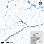 Geographic location of study of zoonotic and anthroponotic Plasmodium spp. circulation between wild primates and Indigenous community, Peruvian Amazon, 2007–2020. Red dot indicates Yagua Indigenous community of Nueva Esperanza, located along the Yavarí-Mirín River near the Peru–Brazil border. Gray dots represent locations of legally hunted nonhuman primates sampled during 2007–2020. Inset map indicates location of community (indicated by red dot in red square) at Peru–Brazil border.
