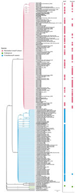 Bayesian phylogeny of Plasmodium spp. from humans and nonhuman primates in study of zoonotic and anthroponotic Plasmodium spp. circulation between wild primates and Indigenous community, Peruvian Amazon, 2007–2020. Phylogenetic tree shows cytochrome oxidase b gene sequences (≈776 bp) obtained from 60 humans and 146 wild nonhuman primates sampled in the Yavarí-Mirín River basin, Loreto region, Peru. Tree reconstructed by using Bayesian inference (209 sequences). Tip symbols denote host origin (human or nonhuman primates) and are color-coded by species: pink, P. vivax or P. simium; blue, P. brasilianum or P. malariae; and green, P. falciparum; black, reference sequences. Bold type indicates sequences from fieldworkers with confirmed P. vivax infection. 