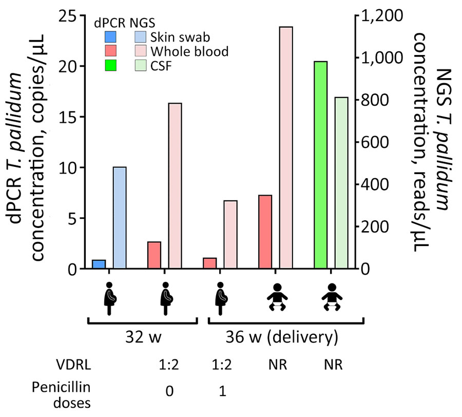 Comparison of testing results for detection of congenital syphilis via dPCR and NGS, Colombia. The Treponema pallidum tp0547 gene concentration was calculated by the dPCR platform software, and NGS sequencing was performed on the MinION Mk1B (Oxford Nanopore Technologies, https://www.nanoporetech.com). The VDRL results at each time of sampling and number of confirmed penicillin doses in the mother are listed below the graph. CSF, cerebrospinal fluid; dPCR, digital PCR; NGS, next-generation sequencing; NR, not reactive; VDRL, venereal disease research laboratory.