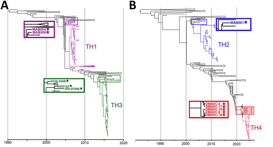 Temporal signal and divergence dating of Thailand Vibrio cholerae O1 isolates during the seventh pandemic from study of repeated extraneous introductions of cholera, Thailand, 2007–2025. Maximum clade credibility trees for clade A (panel A) and clade B (panel B) were reconstructed using a relaxed molecular clock (log-normal distribution) and a coalescent exponential population model. For clade A (n = 254; DRR189295 excluded), sampling years covered 1992–2019; for clade B (n = 417; ERR2265665 and DRR189283 excluded), sampling years covered 1992–2025. Both clades demonstrated strong temporal signals, confirmed by root-to-tip regression analysis (R2 > 0.91) (Appendix 2, Figure 2) and showed strong statistical support with effective sample size values >200. Temporal estimates suggest interregional transmission during the pandemic and highlight the preservation of specific genetic traits within Thailand populations, supporting the inferred lineage connections. Different colors indicate distinct clades, and stars indicate strains with characteristic genomic features.
