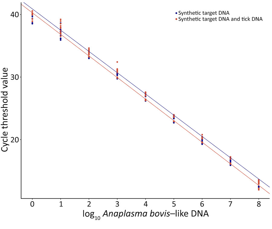 Results of the standard curve analyses, correlation, and amplification efficiency of real-time PCR for detecting Anaplasma bovis–like agent in Dermacentor spp. ticks, United States. We conducted standard curve analyses to evaluate assay efficiency and sensitivity by using 2 sets of samples: a 10-fold dilution series containing synthetic A. bovis–like DNA only and the same dilution series with ≈54 ng of noninfected D. variabilis tick DNA added per reaction. We used tick samples to assess assay performance in the tick DNA matrix. Graph shows standard curve lines for each sample set, with cycle threshold value graphed as a function of target copy number.