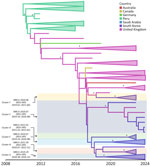 Bayesian phylogenetic tree from study of multiple introductions and cross-sector transmission of Salmonella enterica serovar Infantis carrying blaCTX-M-65 gene, South Korea, 2022–2024. The geographic origin was treated as a discrete trait in the analysis. Branches are colored according to geographic origin. Branches without South Korea isolates were collapsed for clarity. South Korea clusters supported by a posterior probability of 1 were also collapsed to improve readability. Asterisks indicate clusters with posterior probability of 1. South Korea clusters are highlighted in color, with the inferred median MRCA age for South Korea isolates along with the 95% HPD interval. The full phylogeny is available in Appendix Figure 2. HPD, highest posterior density; MRCA, most recent common ancestor.