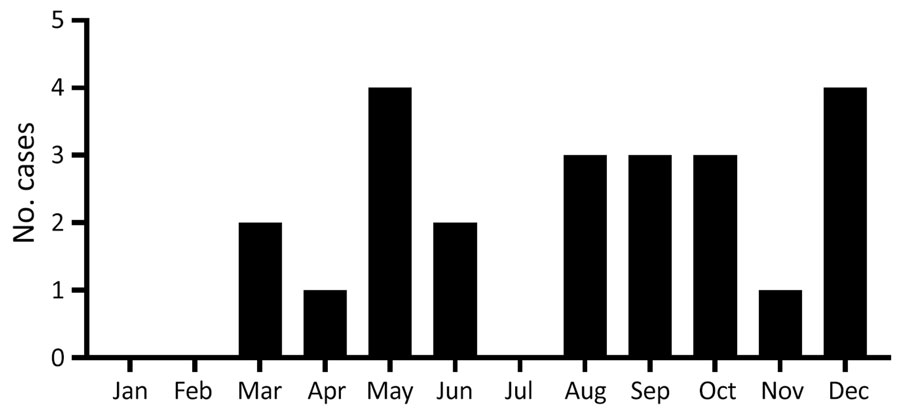 Monthly distribution of Balamuthia mandrillaris cases in study of epidemiology and clinical features of B. mandrillaris infection, China. Onset dates were specified in 23 case reports but unspecified in 43 others.