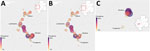 Geographic distribution of skin-dwelling filariae in central Gabon in study of molecular epidemiology of skin-dwelling filariae and risk factors for Mansonella streptocerca infection, Gabon. A) Overall filarial DNA prevalence; B) distribution of M. streptocerca nematodes; and C) distribution of O. volvulus nematodes, showing a focal hotspot around Sindara. Each circle represents 1 sampling area; size and color correspond to prevalence. Inset maps show locations of corresponding area in Gabon.
