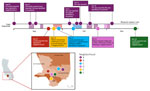 Timeline and geographic distribution of autochthonous dengue cases and public health response, Los Angeles County, California, USA, 2024. A) Timeline of cases (circles) by date of report, or date of confirmation (positive laboratory result) for a household member. Colors indicate residential neighborhood (see key in panel B); shaded bars indicate vector control and public health response activities in each neighborhood after identification of a locally acquired case. B) Map of Los Angeles County. Circles indicate cases identified by neighborhood; numbers indicate total cases per neighborhood. Case identified in neighborhood E was initially classified as a travel-related case; however, retrospective review revealed travel only to areas without ongoing DENV transmission. Based on that information, the case was reclassified as locally acquired. Inset shows location of Los Angeles County within California. DENV, dengue virus; WNV, West Nile virus.
