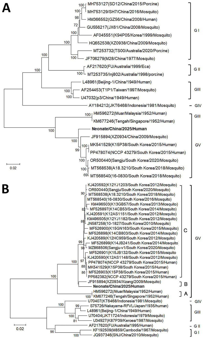 Phylogenetic trees of Japanese encephalitis virus (JEV) genes recovered from a human case in China, 2025. A) Phylogenetic tree built on the basis of the nucleotide sequences of the open reading frame of JEV. B) Phylogenetic tree built on the basis of the nucleotide sequences of the envelope gene of JEV. We constructed the phylogenetic trees by using the neighbor-joining method in MEGA 12.0 software (https://www.megasoftware.net). Neonate sequence from this study is in boldface. Branch numbers indicate percent bootstrap support values. Scale bars indicate nucleotide substitutions per site.