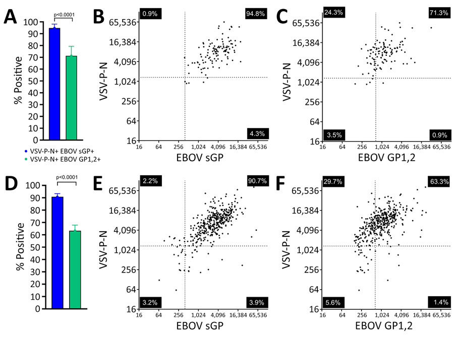 Superiority of EBOV sGP and VSV-P-N in identifying ERVEBO vaccinees for study of development of multiplex assay to confirm Ebola vaccination. A) Percentages of persons with vaccination cards (n = 115) whose vaccination status was confirmed by either positive VSV-P-N and EBOV sGP or positive VSV-P-N and EBOV GP1,2. B, C) Correlation of VSV-P-N and EBOV sGP (B) and VSV-P-N and EBOV GP1,2 (C). D) Percentages of persons with verbally confirmed vaccination status (n = 411) that were confirmed as vaccinees on the basis of positivity for either VSV-P-N and EBOV sGP, or VSV-P-N and EBOV GP1,2. E, F) Correlation of VSV-P-N and EBOV sGP (E) and VSV-P-N and EBOV GP1,2 (F). Error bars indicate 95% CIs. Correlations between results were tested by Spearman correlation r values with 95% CIs. Horizontal and vertical lines in the scatter plots indicate the established cutoff values for the antigens shown on the corresponding axes. Each quadrant of the correlation graphs is labeled with the percentage of the samples that tested negative, single positive, and double positive by assays given on the x- and y-axes. Figure created using BioRender (https://www.biorender.com). EBOV, Ebola virus; GP, glycoprotein; sGP, secreted glycoprotein; VSV-P-N, vesicular stomatitis virus nucleoprotein N-terminally fused with P peptide.