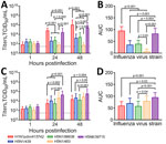 Viral replication kinetics in a study of ex vivo tropism and replication competence of cattle influenza A(H5N1) genotype B3.13 virus in human bronchus and lung tissue. A, B) Mean virus titers for bronchus tissues; C, D) mean virus titers for lung tissues. A, C) Culture supernatants of the infected human respiratory tissue explants were harvested at 1, 24, and 48 hours postinfection and viral titers determined by TCID50 assays; dashed line indicates assay detection limit. Statistical significance was calculated by using 2-way analysis of variance with Tukey post-hoc test. Error bars indicate SD. B, D) AUC values calculated from influenza virus titers 24–48 hours postinfection are shown. Statistical significance was calculated by using 1-way analysis of variance with Tukey post-hoc test. Error bars indicate SD. AUC, area under the curve; TCID50, 50% tissue culture infectious dose. 