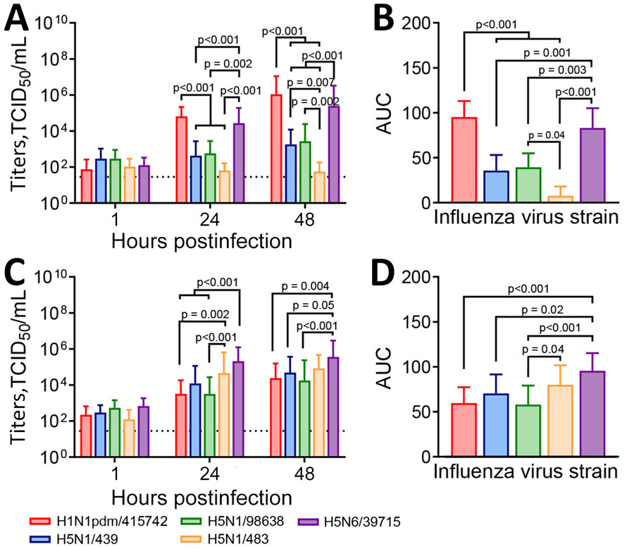 Viral replication kinetics in a study of ex vivo tropism and replication competence of cattle influenza A(H5N1) genotype B3.13 virus in human bronchus and lung tissue. A, B) Mean virus titers for bronchus tissues; C, D) mean virus titers for lung tissues. A, C) Culture supernatants of the infected human respiratory tissue explants were harvested at 1, 24, and 48 hours postinfection and viral titers determined by TCID50 assays; dashed line indicates assay detection limit. Statistical significance was calculated by using 2-way analysis of variance with Tukey post-hoc test. Error bars indicate SD. B, D) AUC values calculated from influenza virus titers 24–48 hours postinfection are shown. Statistical significance was calculated by using 1-way analysis of variance with Tukey post-hoc test. Error bars indicate SD. AUC, area under the curve; TCID50, 50% tissue culture infectious dose. 