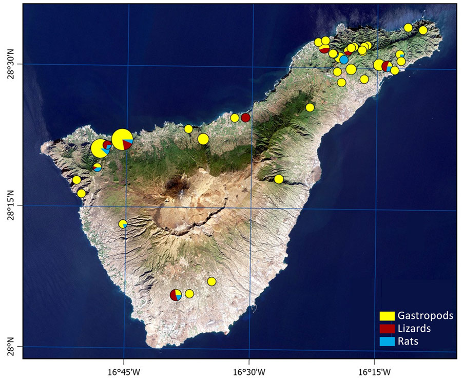 Host sampling sites used in a predictive approach to mapping Angiostrongylus cantonensis nematode distribution, Canary Islands, Spain. Host sampling included gastropods intermediate hosts, lizards paratenic hosts, and rats definitive hosts across Tenerife in 2022. We used those samples as the basis for prevalence estimates and species distribution modeling of A. cantonensis.