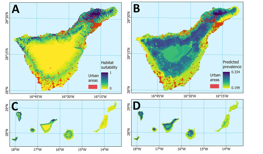 Modeled habitat suitability from a predictive approach to mapping Angiostrongylus cantonensis nematode distribution, Canary Islands, Spain, and prevalence of A. cantonensis across Tenerife and the Canary Islands based on field survey data (2022). A, C) MaxEnt model predicting habitat suitability (probability of occurrence), with overlap of urban areas (CORINE Land Cover, class 1), for Tenerife detail (A) and the Canary Islands archipelago (C). B, D) Boosted regression tree model predicting prevalence in Tenerife (B) and the Canary Islands archipelago (D).