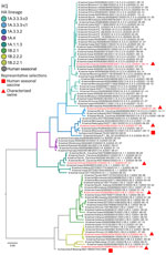 Maximum-likelihood phylogeny of swine and human influenza H1 HA genes from study of occupationally exposed and general population antibody profiles to influenza A viruses circulating in swine as indication of zoonotic risk. Two major H1 HA lineages in US swine resulted from independent introductions of H1N1 and H1N2 viruses from humans to swine and are grouped by the 1A and 1B lineage designations. Each lineage is divided and colored by statistically supported clades: 1A.1.1.3, 1A.3.3.2, 1A.3.3.3-c1, 1A.3.3.3-c3, 1A.4; and 1B.2.1, 1B.2.2.1, and 1B.2.2.2. Triangles and squares annotate selected reference and test antigens. HA, hemagglutinin.