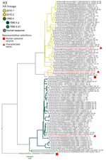 Maximum-likelihood phylogeny of swine and human influenza H3 HA genes from study of occupationally exposed and general population antibody profiles to influenza A viruses circulating in swine as indication of zoonotic risk. Three major H3 HA lineages in US swine were derived from interspecies transmission in the 1990s (1990.4.x) and 2010s (2010.1 and 2010.2). Each lineage is divided and colored by statistically supported clades. The H3 tree was rooted on the human seasonal HA gene A/Port Chalmers/1/1973 (H3N2). Branch lengths were drawn to scale. Scale bar indicates number of nucleotide substitutions per site. The phylogeny with tip labels included is available at https://github.com/flu-crew/datasets. HA, hemagglutinin. 