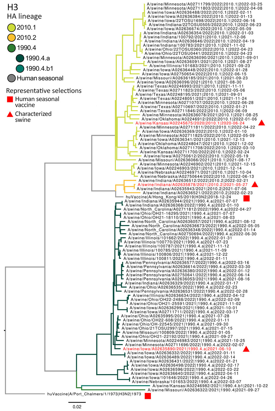Maximum-likelihood phylogeny of swine and human influenza H3 HA genes from study of occupationally exposed and general population antibody profiles to influenza A viruses circulating in swine as indication of zoonotic risk. Three major H3 HA lineages in US swine were derived from interspecies transmission in the 1990s (1990.4.x) and 2010s (2010.1 and 2010.2). Each lineage is divided and colored by statistically supported clades. The H3 tree was rooted on the human seasonal HA gene A/Port Chalmers/1/1973 (H3N2). Branch lengths were drawn to scale. Scale bar indicates number of nucleotide substitutions per site. The phylogeny with tip labels included is available at https://github.com/flu-crew/datasets. HA, hemagglutinin.