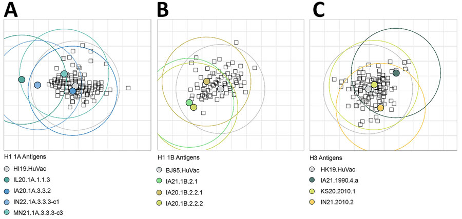 Antigenic map showing the relationships between human antibody immunity and selected strains of influenza A virus (IAV) in swine and human seasonal vaccines in study of occupationally exposed and general population antibody profiles to IAVs circulating in swine as indication of zoonotic risk. Each sphere on the map represents an antigen; squares represent individual participant serum samples from the combined veterinarian, farm, Philadelphia, and Hong Kong cohorts. A) H1 1A classical swine lineage derived from the 1918 human influenza pandemic; B) H1 1B human seasonal lineage derived from introductions of pre-2009 human seasonal H1 IAV; C) H3 lineages derived from decadal introductions of human seasonal H3N2 viruses into swine. Rings around each strain display 3 antigenic units or 8-fold change in titer from the associated antigen. Persons outside the ring are predicted to have significant loss in cross-protection.