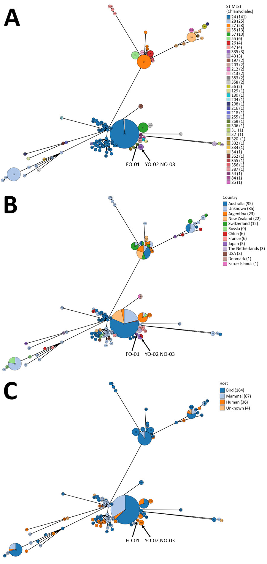 GrapeTree view showing MLST phylogenetic relationship among Chlamydia psittaci strains in study of 3 fatal gestational psittacosis cases (FO-01, YO-02, and NO-03) caused by C. psittaci strains belonging to closely related MLST lineages, Japan, 2017–2024. A) ST; B) country; C) source host. Strains include ST269/ST335. Numbers in parentheses indicate number of isolates. The MLST alleles are concatenated, and the ST is determined using the Chlamydiales database hosted at https://pubmlst.org/chlamydiales. MLST, multilocus sequence typing; ST, sequence type.