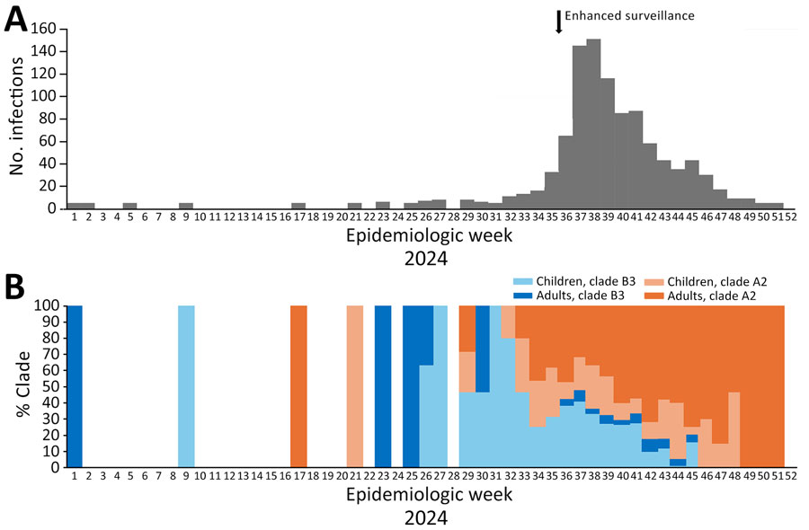 Distribution of infections from report on national surveillance of enterovirus D68 upsurge, France, 2024. A) Weekly distribution of infections in 2024. B) Distribution of subgenotype percentages. Each genotype is represented by a color, the intensity of which indicates the age group (children <18 years of age, adults >18 years of age). 