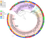 Time-scaled phylogeny of enterovirus D68 from report on national surveillance of enterovirus D68 upsurge, France, 2021–2024. We reconstructed a time-calibrated phylogenetic tree based on all available complete or near-complete (<6,495 nt) ORF sequences retrieved from GenBank, along with the sequences generated in this study. We subsampled and analyzed a total of 449 sequences using Bayesian inference with BEAST version 2.6.3 (https://beast.community), running a Markov chain of 500 million generations. We summarized the maximum clade credibility tree using TreeAnnotator (https://beast.community/treeannotator), and visualized with iTOL (https://itol.embl.de). We added 2 outer annotation rings, the outer ring for the continent or country of origin and the inner ring for the year of sampling. Previously defined clades (A1, A2, B1–B3, and C) are labeled and highlighted for branches and taxa: pink for clade A1, light purple for A2 and darker purple for sequences from the newly identified 2024 A2 subgroup A2-II, light orange for B1, yellow for B2, peach for B3, and light green for C. We identified the 2 groups of B3 sequences in this study as B3-I (ancestral) and B3-II. Blue dots indicated at the taxon names indicate sequences generated in this study in 2024. Scale bar represents the divergence in years relative to 2024.