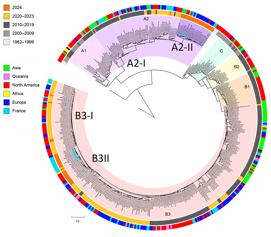 Time-scaled phylogeny of enterovirus D68 from report on national surveillance of enterovirus D68 upsurge, France, 2021–2024. We reconstructed a time-calibrated phylogenetic tree based on all available complete or near-complete (<6,495 nt) ORF sequences retrieved from GenBank, along with the sequences generated in this study. We subsampled and analyzed a total of 449 sequences using Bayesian inference with BEAST version 2.6.3 (https://beast.community), running a Markov chain of 500 million generations. We summarized the maximum clade credibility tree using TreeAnnotator (https://beast.community/treeannotator), and visualized with iTOL (https://itol.embl.de). We added 2 outer annotation rings, the outer ring for the continent or country of origin and the inner ring for the year of sampling. Previously defined clades (A1, A2, B1–B3, and C) are labeled and highlighted for branches and taxa: pink for clade A1, light purple for A2 and darker purple for sequences from the newly identified 2024 A2 subgroup A2-II, light orange for B1, yellow for B2, peach for B3, and light green for C. We identified the 2 groups of B3 sequences in this study as B3-I (ancestral) and B3-II. Blue dots indicated at the taxon names indicate sequences generated in this study in 2024. Scale bar represents the divergence in years relative to 2024. 