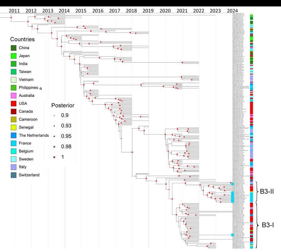 Bayesian time-scaled phylogeny of enterovirus D68, subgenotype B3, from report on national surveillance of enterovirus D68 upsurge, France, 2021–2024. Phylogeny created using BEAST version 2.6.3 (https://beast.community). A subtree focusing on the study strains belonging to subgenotype B3 was extracted from the complete time-calibrated phylogenetic tree of EV-D68. The estimated ages of the most recent common ancestors from the root of each clade to the year 2024 are indicated. Red stars at nodes indicate posterior probabilities >0.9, star sizes are proportional to posterior probability (larger symbols indicate values closer to 1). Colors at right indicate country of origin for each strain. Blue dots indicated at the taxon names indicate sequences generated in this national study in 2024. GenBank accession numbers are provided.