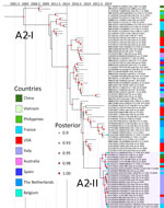 Bayesian time-scaled phylogeny of enterovirus D68, subgenotype A2, from report on national surveillance of enterovirus D68 upsurge, France, 2021–2024. Phylogeny created using BEAST version 2.6.3 (https://beast.community). Subtree focusing on the most recent strains of subgenotype A2 was extracted from the complete time-calibrated phylogenetic tree. The estimated ages of the most recent common ancestors from the root of each clade to the year 2024 are indicated. Red stars at nodes indicate posterior probabilities >0.9, star sizes are proportional to posterior probability (larger symbols indicate values closer to 1). Colors at right indicate country of origin for each strain. Blue dots indicated at the taxon names indicate sequences generated in this study in 2024. GenBank accession numbers are provided.