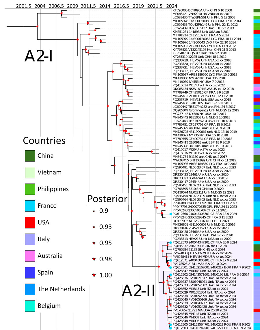 Bayesian time-scaled phylogeny of enterovirus D68, subgenotype A2, from report on national surveillance of enterovirus D68 upsurge, France, 2021–2024. Phylogeny created using BEAST version 2.6.3 (https://beast.community). Subtree focusing on the most recent strains of subgenotype A2 was extracted from the complete time-calibrated phylogenetic tree. The estimated ages of the most recent common ancestors from the root of each clade to the year 2024 are indicated. Red stars at nodes indicate posterior probabilities >0.9, star sizes are proportional to posterior probability (larger symbols indicate values closer to 1). Colors at right indicate country of origin for each strain. Blue dots indicated at the taxon names indicate sequences generated in this study in 2024. GenBank accession numbers are provided.