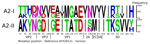 Amino acid change analysis of enterovirus D68, subgenotype A2, from report on national surveillance of enterovirus D68 upsurge, France, 2021–2024. Amino acid substitutions leading to changes in the predominant residues between the newly identified A2-II group (n = 50 sequences) and the previously circulating A2-I (n = 75 sequences) clade are shown. Mutation positions are numbered according to the reference Fermon strain (GenBank accession no. AY426531) and annotated by the corresponding viral proteins (structural proteins VP2, VP3, and VP1 and nonstructural proteins 2A, 2C, 3A, and 3D). A, alanine; D, aspartate; E, glutamate; G, glycine; H, histidine; I, isoleucine; K, lysine; M, methionine; N, asparagine; R, arginine; S, serine; T, threonine; V, valine; VP, viral protein; Y, tyrosine.