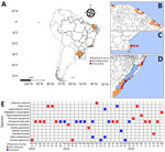 Temporal and spatial distribution of cetacean species collected along the coast of Brazil during a study of influenza A virus from November 2023–August 2025. A–D) Sampling locations along the coast of Brazil. Insets show sampling locations in the states of Rio Grande do Sul (B), Rio de Janeiro (C) , and Ceará (D). Each dot represents an analyzed sample from the cetacean. E) Temporal distribution of sampled cetaceans. Each point represents an individual animal; red points indicate detection of influenza A virus matrix gene RNA, and blue points indicate no detectable viral RNA.