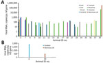 Influenza A viral RNA detected by quantitative reverse transcription PCR in stranded cetaceans from Brazil, November 2023–August 2025. A) Influenza A virus M gene RNA concentration (copies/µL) in positive animals by sample type. B) H5 subtype RNA concentrations (copies/µL) in cetaceans positive for H5 influenza A virus by sample type. ID, identification; M, matrix.