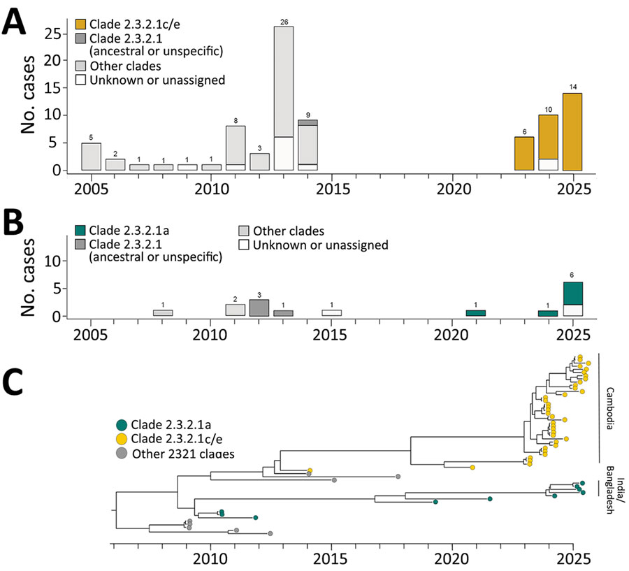 Emergence and human case trends of highly pathogenic avian influenza (HPAI) H5N1 clade 2.3.2.1 viruses in study of reassortment of HPAI as a driver for zoonotic spillover, Asia. A, B) Case notification data of HPAI H5N1 in Cambodia (A) and India and Bangladesh (B), demonstrating the clear resurgence of zoonotic spillover occurring in 2023, driven by reassortant clade 2.3.2.1c/e and 2.3.2.1a viruses. C) Time-scaled phylogeny of the H5 hemagglutinin gene for clade 2.3.2.1 viruses, highlighting the divergence of clade 2.3.2.1a and clade 2.3.2.1c/e.