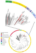 Maximum-likelihood core-genome phylogenetic tree of all Burkholderia pseudomallei genomes (n = 1,956) from the National Center for Biotechnology Information RefSeq (https://www.ncbi.nlm.nih.gov/refseq) database used in study of B. pseudomallei virulence in mouse models. Red bars highlight the 10 isolates used in this study (inset); ring color denotes geographic origin. Scale bar represents nucleotide substitutions per site.