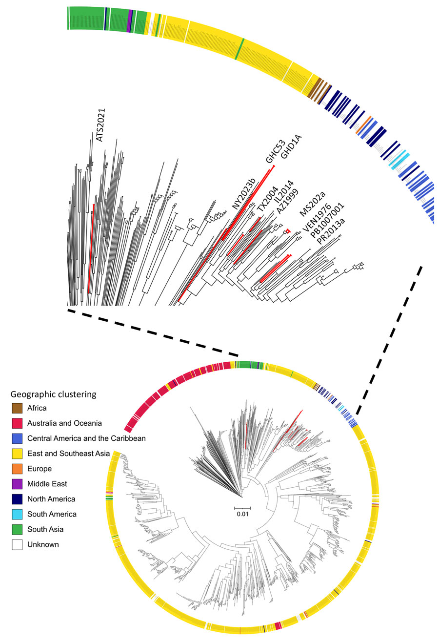 Maximum-likelihood core-genome phylogenetic tree of all Burkholderia pseudomallei genomes (n = 1,956) from the National Center for Biotechnology Information RefSeq (https://www.ncbi.nlm.nih.gov/refseq) database used in study of B. pseudomallei virulence in mouse models. Red bars highlight the 10 isolates used in this study (inset); ring color denotes geographic origin. Scale bar represents nucleotide substitutions per site.