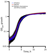 Western Hemisphere and Africa test panel isolates in a study of Burkholderia pseudomallei virulence in mouse models showing no differences in planktonic growth. B. pseudomallei was grown in Luria broth with 4% glycerol with shaking at 37°C over the course of 24 hours. We measured growth by optical density for >3 technical replicates in each experiment. Data displayed are the average results of 4 experiments. Error bars represent SE of the mean. OD600, optical density at 600 nm.
