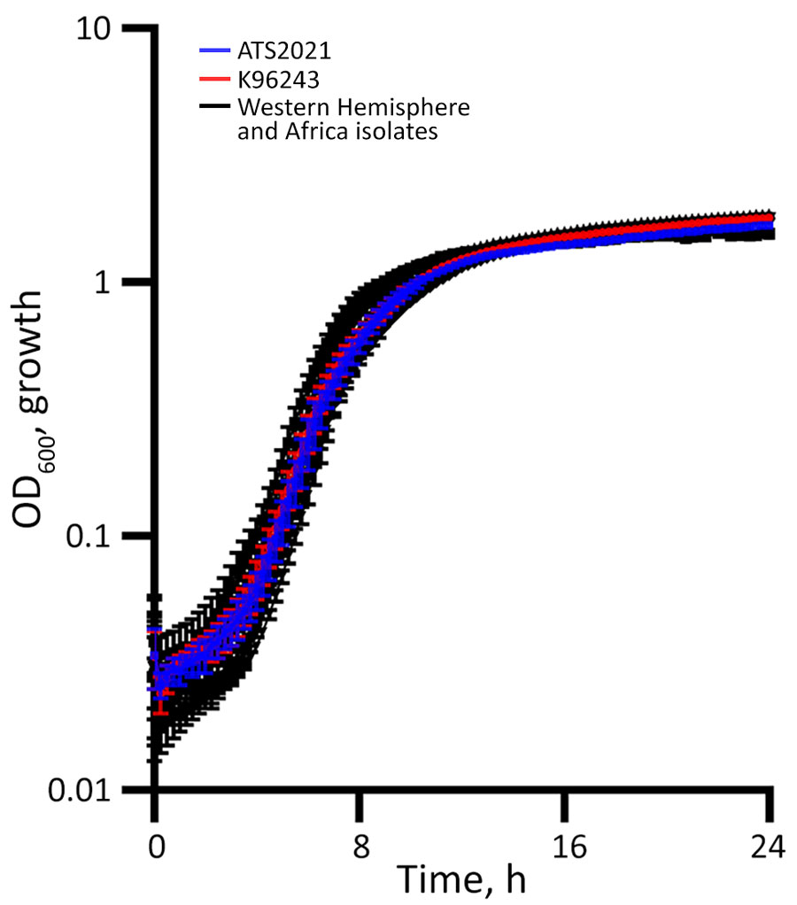 Western Hemisphere and Africa test panel isolates in a study of Burkholderia pseudomallei virulence in mouse models showing no differences in planktonic growth. B. pseudomallei was grown in Luria broth with 4% glycerol with shaking at 37°C over the course of 24 hours. We measured growth by optical density for >3 technical replicates in each experiment. Data displayed are the average results of 4 experiments. Error bars represent SE of the mean. OD600, optical density at 600 nm.
