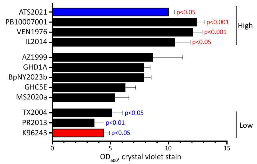 Observations of biofilm formation in a study of Burkholderia pseudomallei virulence in mouse models. Burkholderia pseudomallei isolates were inoculated into Luria broth with 4% glycerol and incubated statically at 37°C for 24 hours. We removed planktonic growth and stained the remaining biofilm by using crystal violet staining then quantified by using 600 nm optical density. We compared the test panel (represented by black bars) with a hyper-biofilm producing strain (strain no. ATS2021, represented by blue bar) and a common strain used in the laboratory with low biofilm formation (strain no. K96243, represented by red bar). Data displayed are the averaged results of >3 biologic replicates with error bars representing the standard error of the mean. Red p values indicate statistical significance relative to strain K96243. Blue p values indicate significance relative to strain ATS202. OD600, optical density at 600 nm.