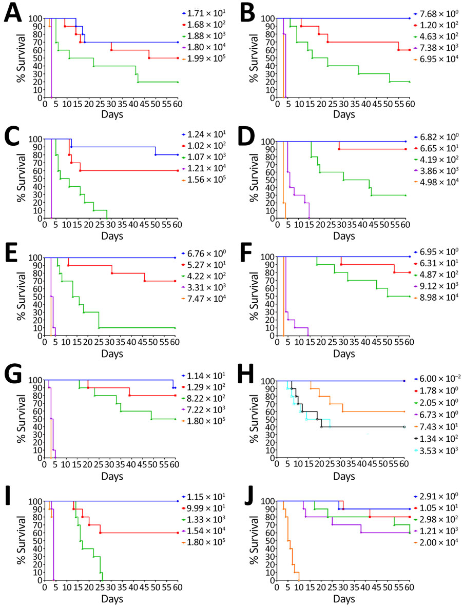 Survival rates for aerosolized challenge of Western Hemisphere and Africa Burkholderia pseudomallei strain virulence in C57BL/6 mouse models. C57BL/6 mice were challenged with 5 different doses of aerosolized B. pseudomallei isolates and observed for 60 days (Appendix 1 Tables 1, 2). Each color represents a different dose.
