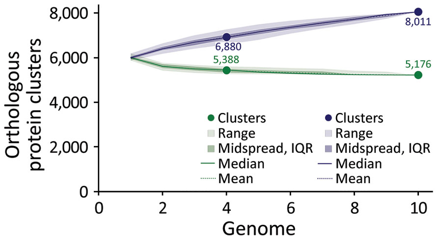 Pangenome analysis of Burkholderia pseudomallei strains from the Western Hemisphere and Africa in mouse models. We used panaroo version 1.5.2 (https://github.com/gtonkinhill/panaroo) for analysis of all 10 isolate genomes. The core genome size is 5,176 genes, and scoary version 1.6.16 (https://github.com/AdmiralenOla/Scoary) revealed 2 hypothetical protein encoding genes unique to the 3 virulent strains from Africa (GHD1A, GHC5E, BpNY2023b): an 84-residue encoding gene and a 262-residue encoding gene. The range, spread, median, and mean came from 100 permutations simulating genome addition and was plotted in R version 4.5.1 (The R Project for Statistical Computing, https://www.r-project.org) with refinements in inkscape v1.0.1 (https://inkscape.org). Purple represents pangenome; green represents core genome. IQR, interquartile range.
