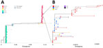Phylogenetic analysis of complete genomes formed by concatenation of all gene segments, confirming highly pathogenic avian influenza A (H5N1) virus genotype B3.13 isolated from fetal bovine serum (FBS), United States, 2025. A) Tree showing broader phylogeny of H5N1 virus genotypes. B) Closer examination of the virus from FBS sample and closely related virus sequences. Dashed lines indicate the branch in the broader phylogenetic tree where the FBS virus sequence is located. Dataset consisted of 5,094 highly pathogenic avian influenza A(H5N1) virus genomes from samples collected during August 2024–January 2025 in North America, downloaded from the GISAID EpiFlu database (5). Maximum-likelihood phylogenetic inferred with an edge-linked partition model and 1,000 bootstrap replicates using IQ-TREE (6).